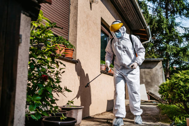 Best Termite Control Services  in Hillsborough, CA