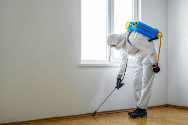 Best Best Pest Control Companies  in Hillsborough, CA