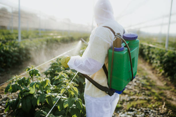 Best Pest Control Near Me  in Hillsborough, CA